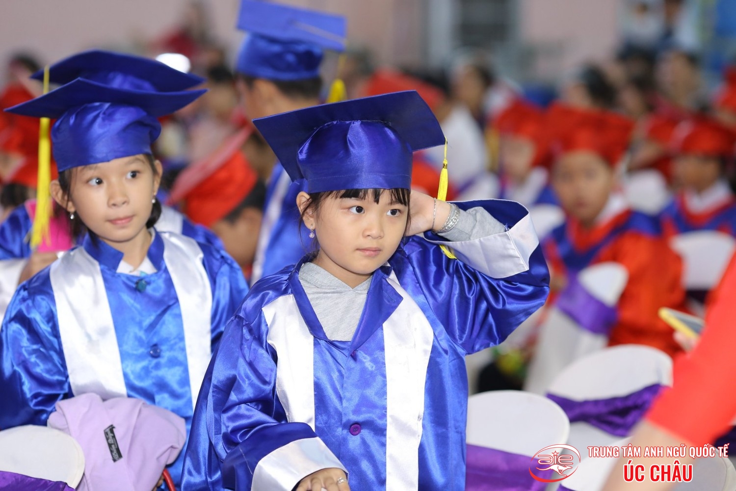 Lễ trao chứng chỉ Anh ngữ Quốc tế Cambridge lần thứ 8/2019