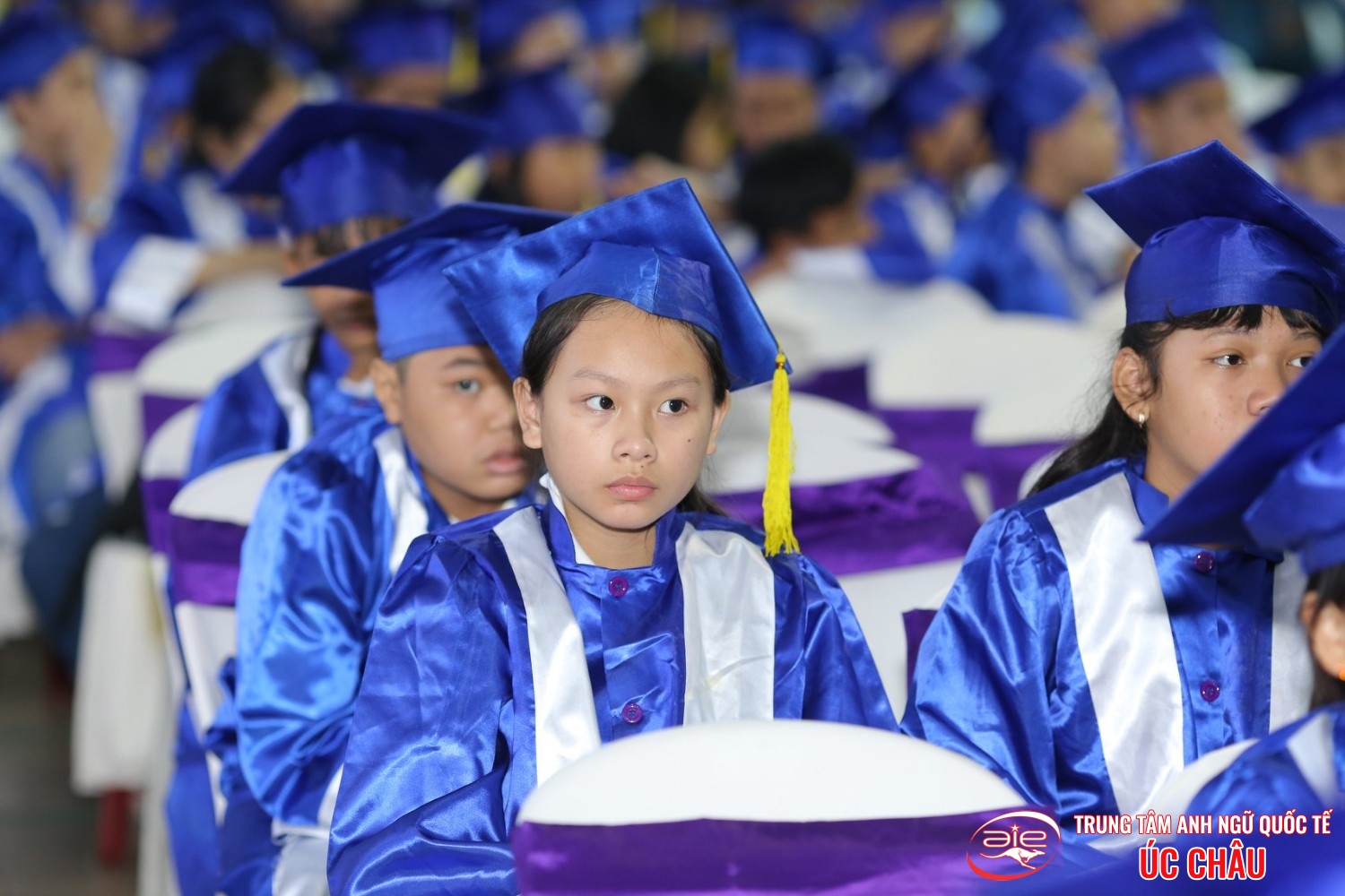 Lễ trao chứng chỉ Anh ngữ Quốc tế Cambridge lần thứ 8/2019