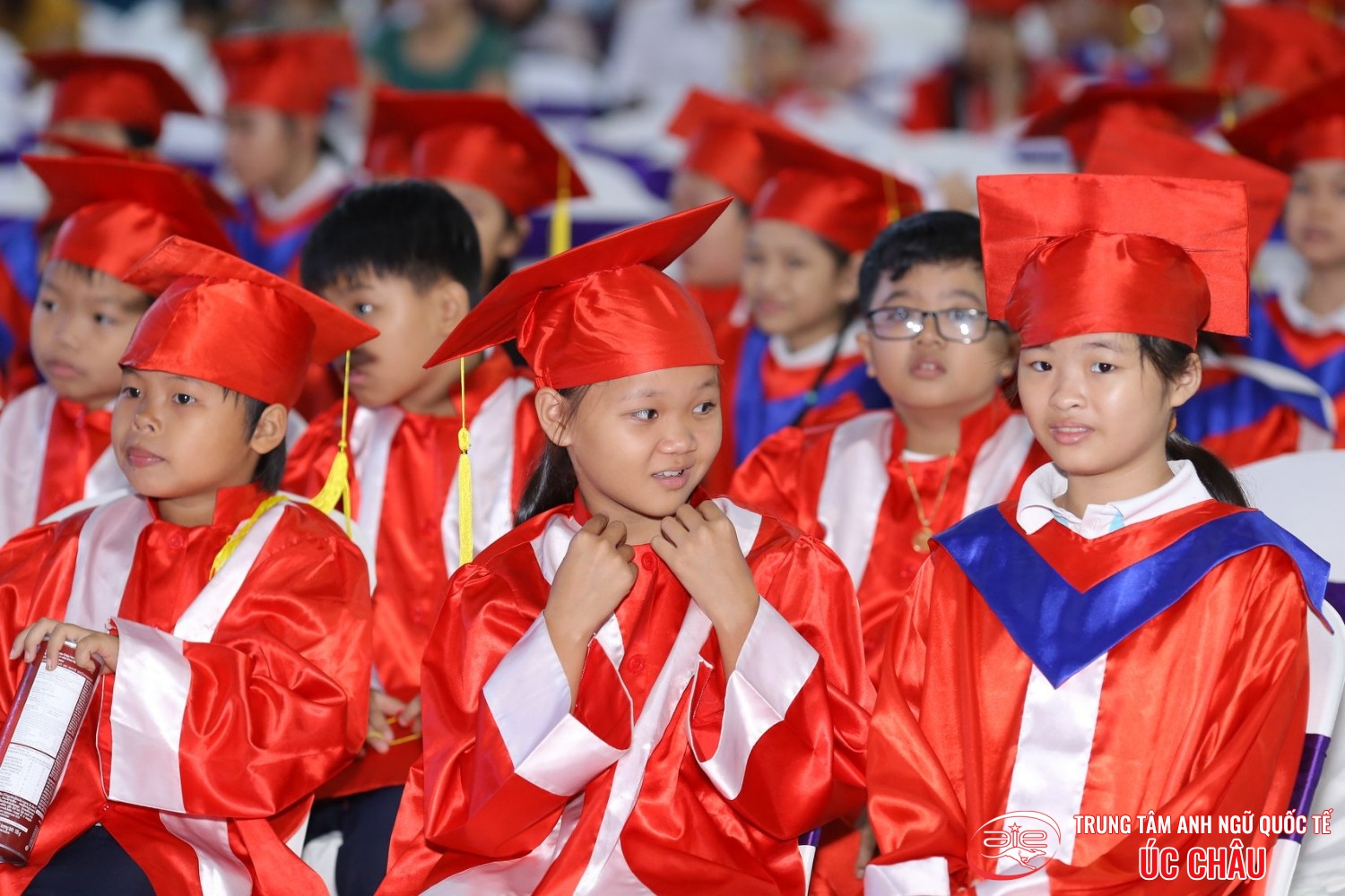 Lễ trao chứng chỉ Anh ngữ Quốc tế Cambridge lần thứ 8/2019