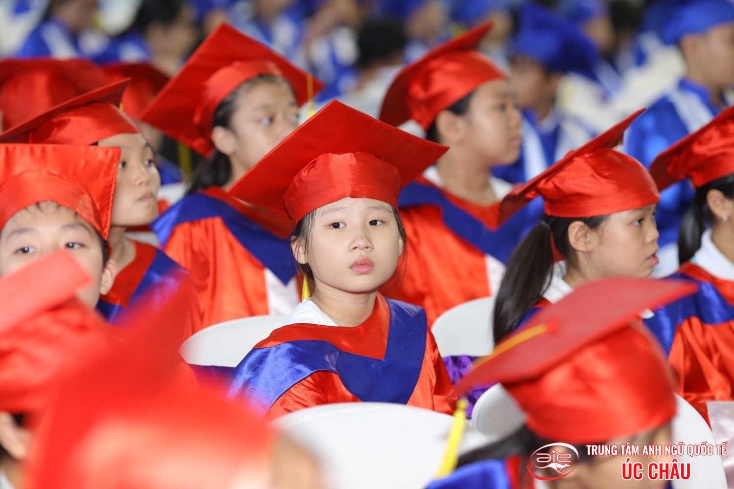 Lễ trao chứng chỉ Anh ngữ Quốc tế Cambridge lần thứ 8/2019